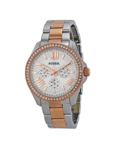 Relógio Fossil AM4496 Feminino