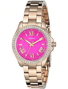 Relógio Fossil AM4598 Feminino