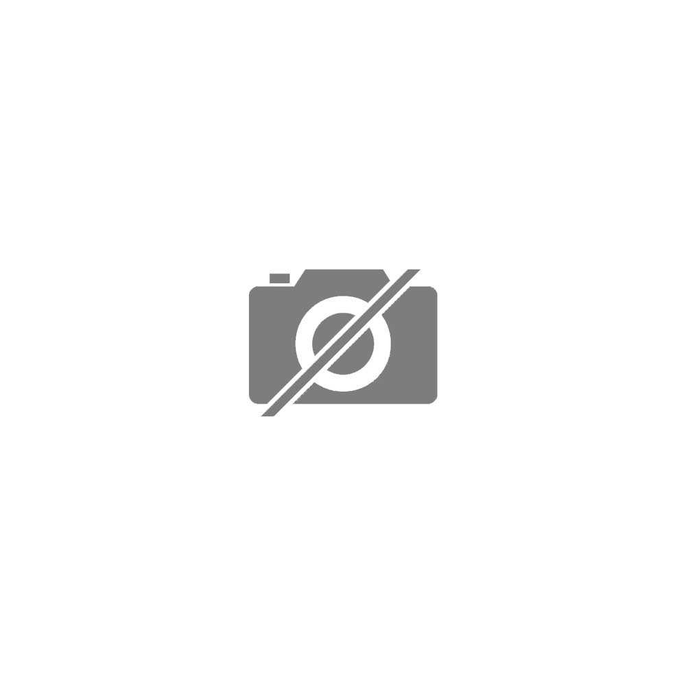 SECADOR PROSPER P-6800 ION 220V LAR/NEGR