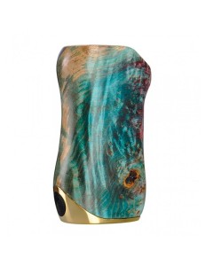 Mod Asvape Gabriel 80W Gold Trim