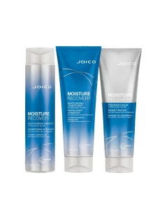 Kit Joico Moisture Recovery Pequeno