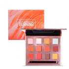 Paleta de Sombras Focallure Burning 12 Cores