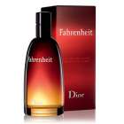 Perfume Dior Fahrenheit EDT Masculino 100ml