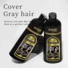 DR RASHEL DRL-1751 SH NATURAL BLACK